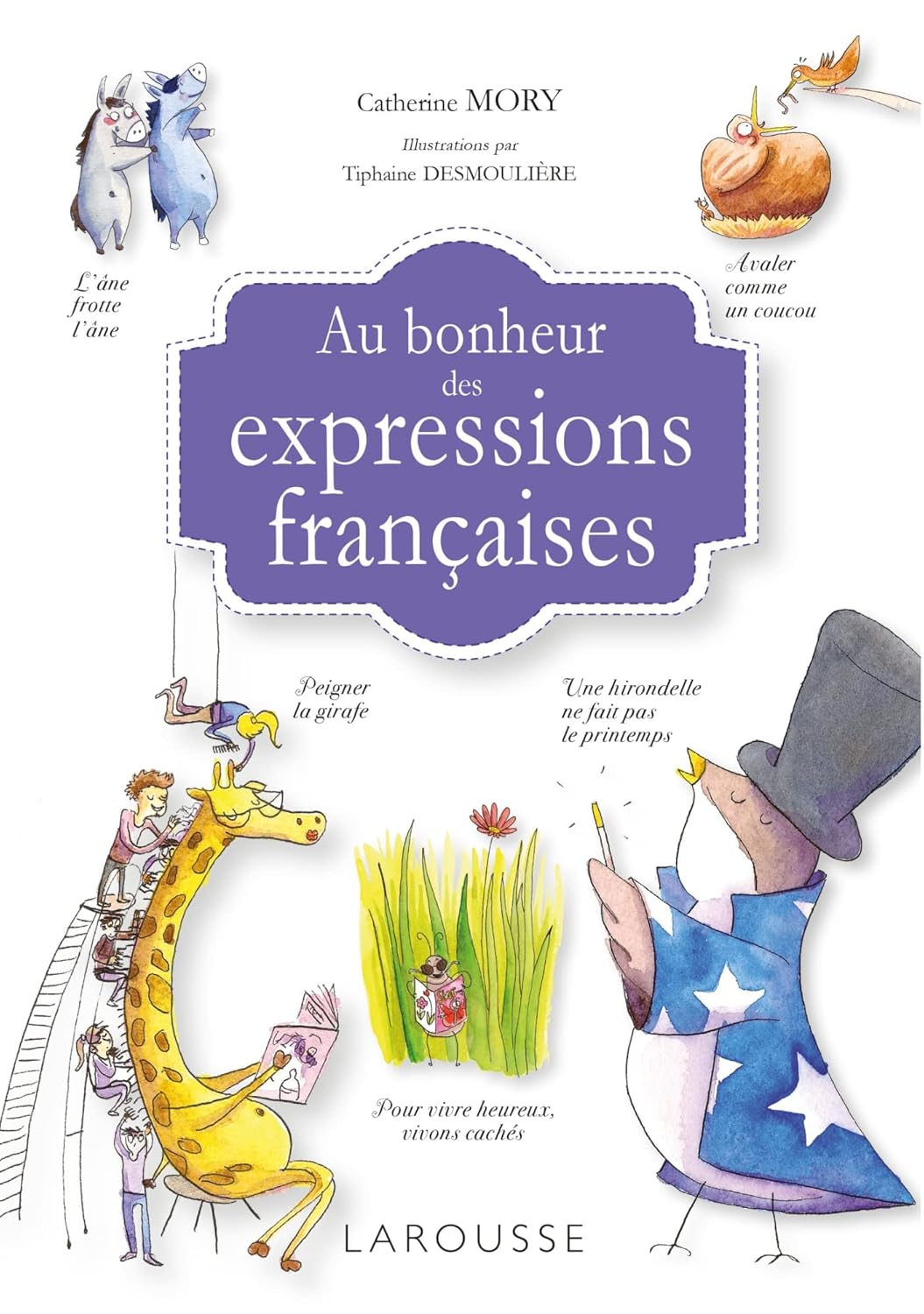 Au bonheur des expressions françaises 法文俗語書