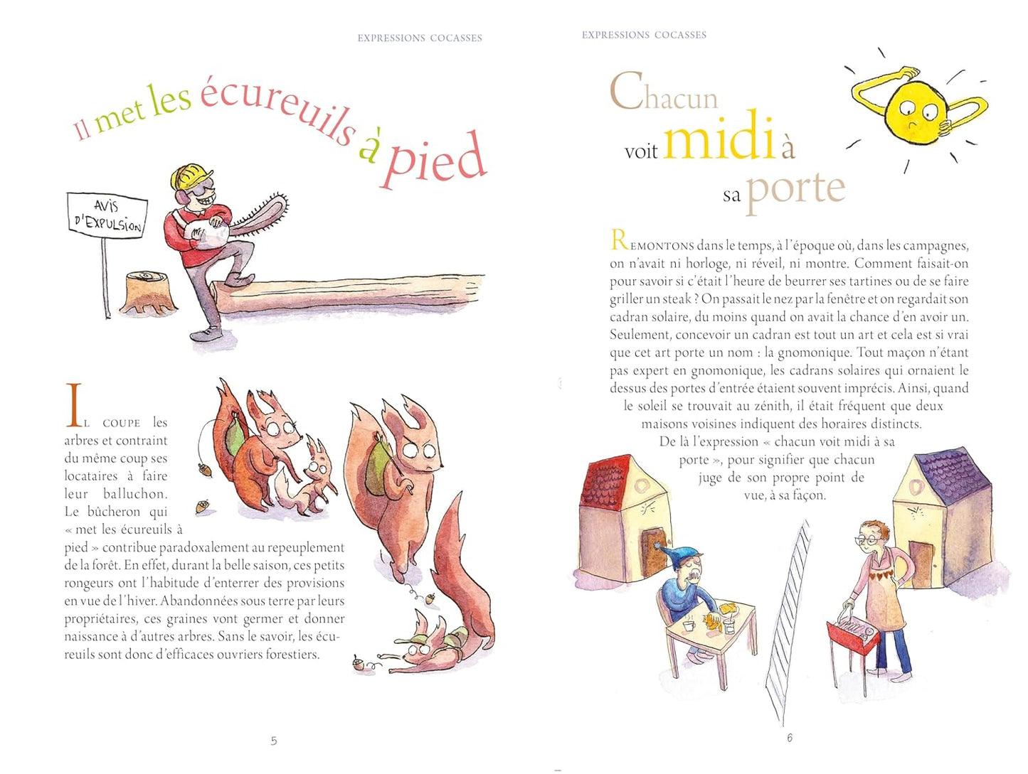 Au bonheur des expressions françaises 法文俗語書