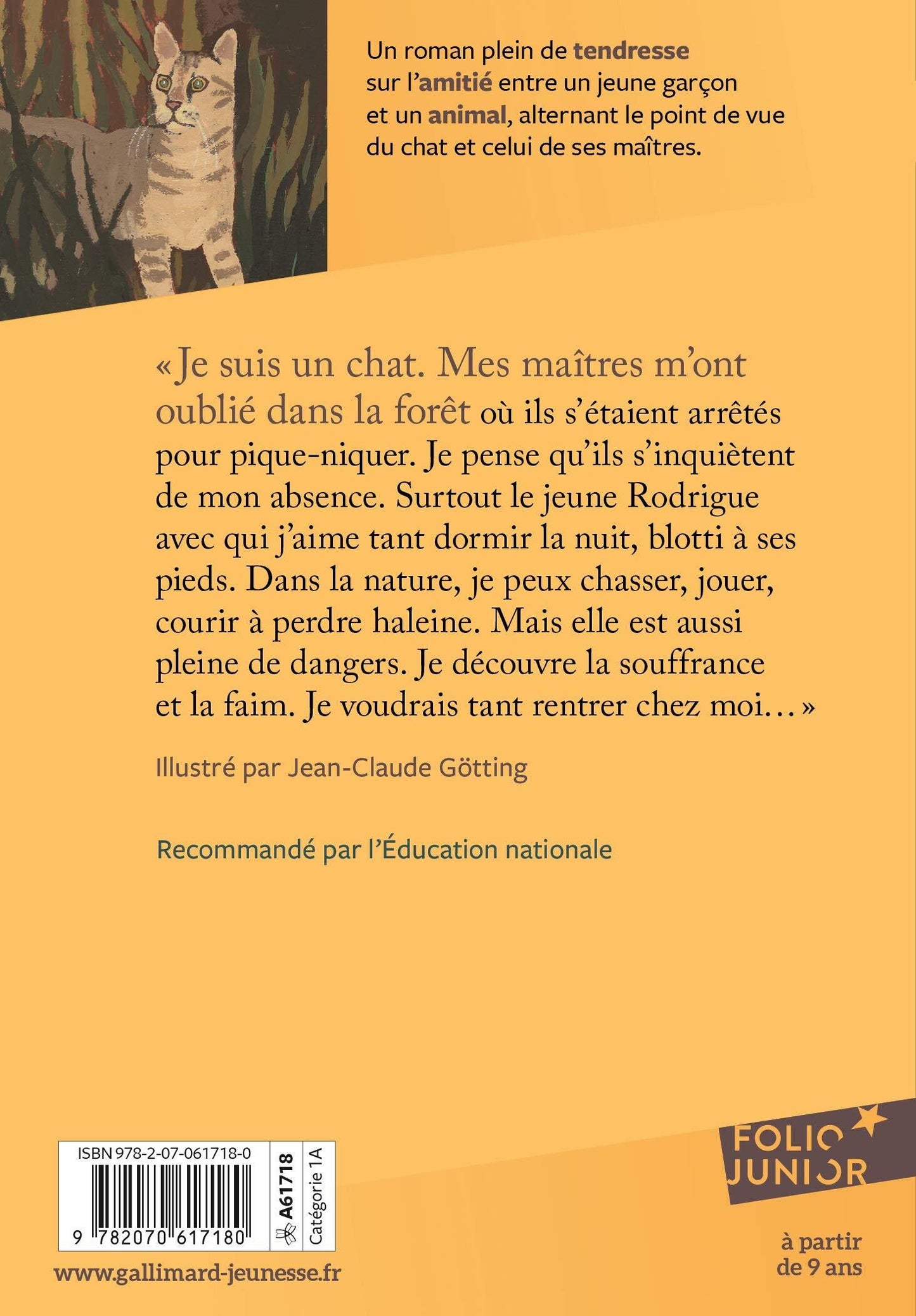 Chat perdu - Jean-Noël Blanc