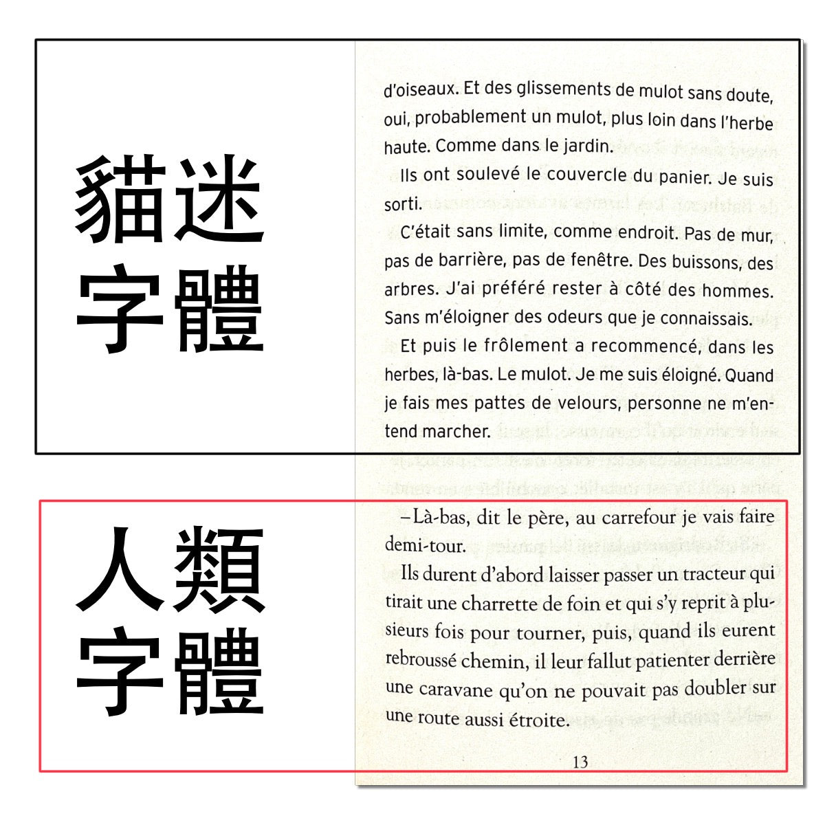 Chat perdu - Jean-Noël Blanc